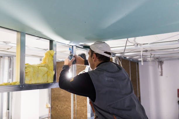 Best Cellulose Insulation in Byng, OK