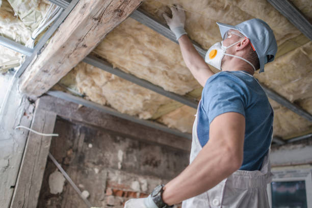 Best Geographic-Specific Insulation Services in Byng, OK